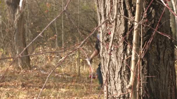 Un homme marchant dans la forêt avec une fille sur l'épaule . — Video