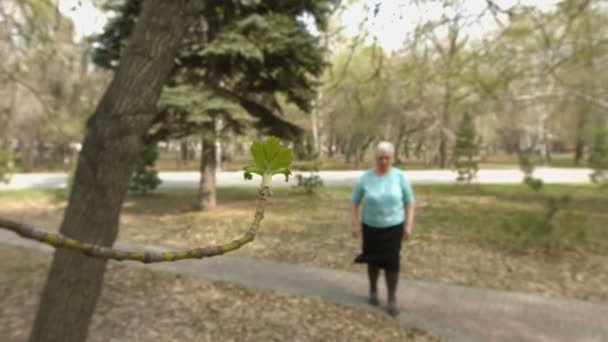 Primavera y vejez. Movimiento lento . — Vídeo de stock