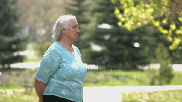 Retrato de la abuela en el parque . — Vídeo de stock