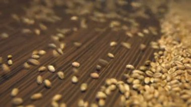 Buğday taneleri kahverengi ahşap arka plan üzerinde. 2 tekila. Dikey pan. Yakın çekim.