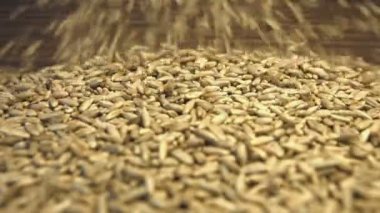 Çavdar tahıl kahverengi ahşap arka plan üzerinde. 2 tekila. Yatay pan. Yakın-up.1. çavdar tahıl haddeleme aşağı bir kahverengi ahşap arka plan üzerinde ve dolgular tüm uzay frame.2. Yatay (sağdan sola) panorama.