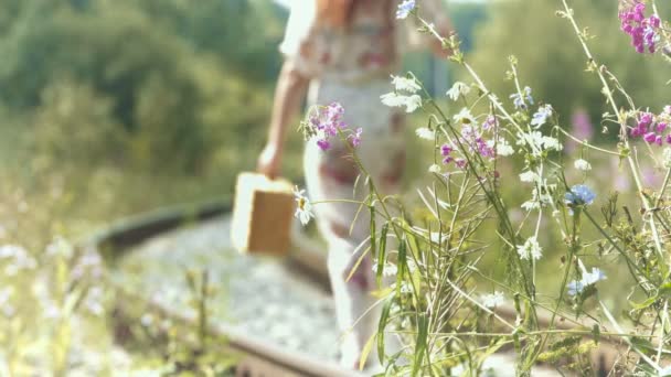 Tren Raylarında Bavulu Olan Bir Kız Bir Bavul Ile Güzel — Stok video