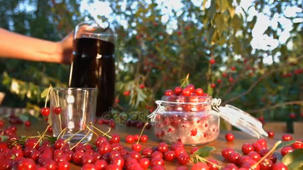 Zumo de cereza en el fondo de las cerezas en crecimiento. Movimiento lento . — Vídeo de stock