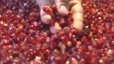 Nar taneleri. 2 tekila. Ağır çekim.