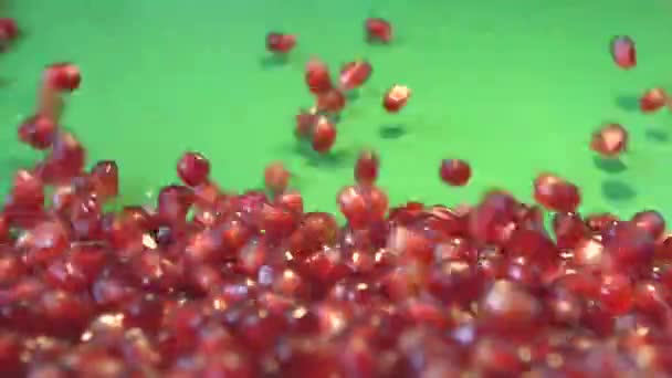 Granaatappel Korrels Een Groene Achtergrond Shots Slow Motion Verticale Pan — Stockvideo