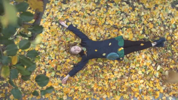 La fille parmi les feuilles jaunes . — Video