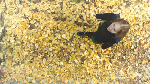 Apple harvesting among the yellow leafs. — Stock Video