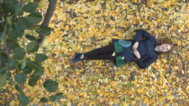 Девушка среди желтых листьев . — стоковое видео