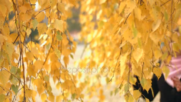 Portret Van Een Meisje Een Park Van Herfst Slow Motion — Stockvideo