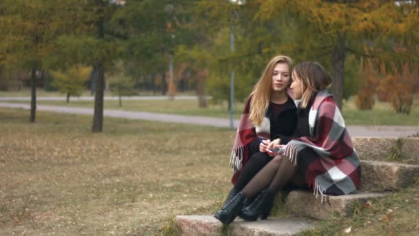 Duas Raparigas Num Parque Outono Movimento Lento Meninas Estão Sentadas — Vídeo de Stock