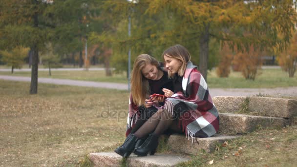 秋の公園で二人の女の子 スローモーション 若い女の子は公園で石の上に座って 談笑して — ストック動画