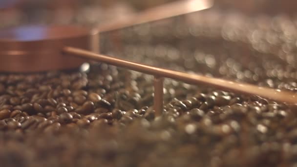 Kahve Çekirdekleri Işlenmesi Yakın Çekim Yatay Soldan Sağa Pan Fried — Stok video