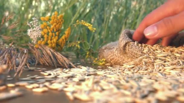 Bodegón Con Avena Copos Avena Naturaleza Primer Plano Deslizamiento Cámara — Vídeo de stock