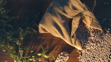 Natürmort tablo Nohut ile. Üstten Görünüm. Kamera tablo üzerinde pürüzsüz kayma hangi bir torba Nohut ile nohut ve yeşil şube ile uçan daire var. Kır çiçekleri buketi tablodur.