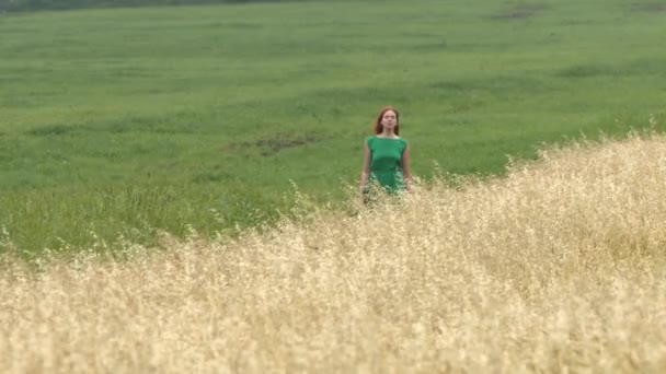 Procházka Mezi Dvěma Poli Zpomalený Pohyb Krásná Rusovlasá Dívka Zelených — Stock video