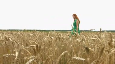 Buğday alan üzerinde yürümek. Ağır çekim. Yeşil elbiseli güzel kızıl saçlı kız olgun buğday alanı yürüyor. O durur ve gülümsüyor. Kamera sağdan sola taşır.