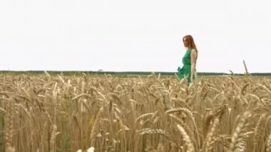 Buğday alan üzerinde yürümek. Ağır çekim. Yeşil elbiseli güzel kızıl saçlı kız olgun buğday alanı yürüyor. O durur ve gülümsüyor. Kamera sağdan sola taşır.