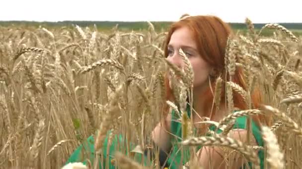 Camina Por Campo Trigo Cámara Lenta Una Encantadora Pelirroja Está — Vídeo de stock