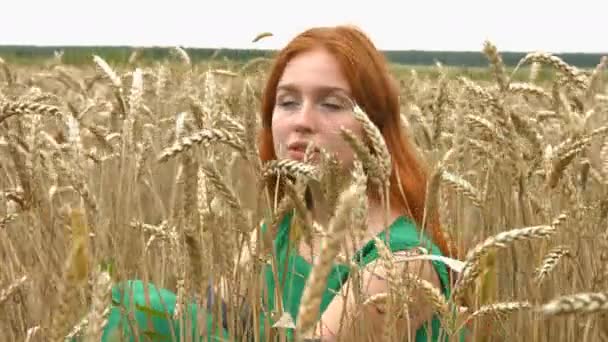 Lopen Het Tarweveld Slow Motion Een Mooie Roodharige Meisje Zit — Stockvideo