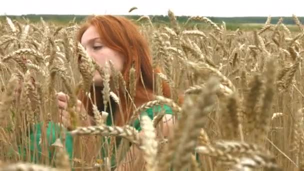 Spaziergang Auf Dem Weizenfeld Zeitlupe Ernstes Junges Mädchen Sitzt Einem — Stockvideo
