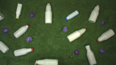 Çimlerin üzerinde süt. Üst Manzara. Ağır çekim 2x. Çimenlerin üzerinde çeşitli şekillerde süt bulunur. Dişi eller çimenlerin üzerine çiçeklerle süslenmiş bir şişe süt koydu. Kamera sağdan sola hareket ediyor..