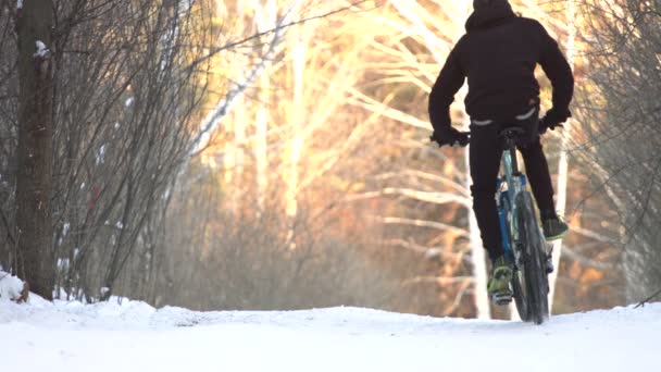 Cykla Vintern Slow Motion Cyklist Rider Längs Snöig Stig Skog — Stockvideo