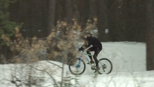 Cycling Winter Shots Cyclist Rides Forest Trees Zoom Telephoto Lens — Stock Video