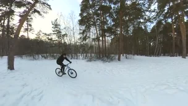 Зимой Ездит Велосипеде Медленное Движение Заснеженной Дорожке Сосновом Лесу Скалы — стоковое видео
