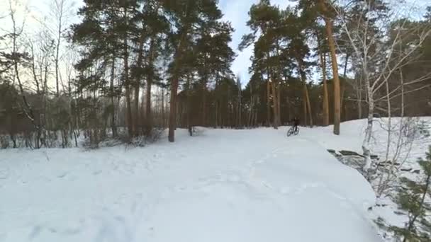 Ciclismo Inverno Shots Ciclista Percorre Uma Trilha Nevada Uma Floresta — Vídeo de Stock