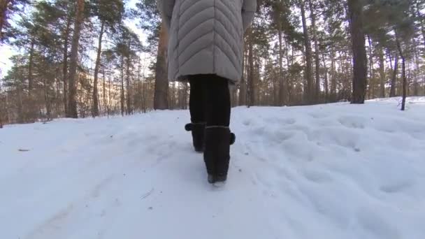 Babička Zimním Lese Panely Babička Kráčí Pěšině Mezi Břízami Borovicemi — Stock video