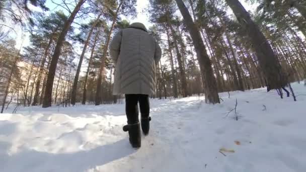 Abuela Bosque Invierno Abuela Camina Largo Camino Entre Abedules Pinos — Vídeo de stock