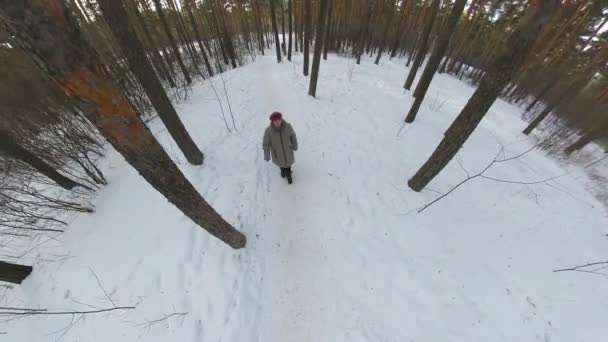 Mormor Vinterskogen Overhead Shot Mormor Går Längs Stigen Bland Stora — Stockvideo