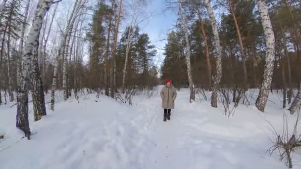 Бабуся Зимовому Лісі Постріли Бабуся Йде Стежкою Між Березами Соснами — стокове відео