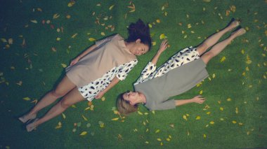 Çimlerin üzerinde iki kız. Üst Manzara. Asyalı ve beyaz kızlar sarı yaprakların arasında çimlerin üzerinde yatarlar. Birbirlerine bakıp gülümsüyorlar. İyi akşamlar..