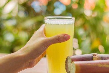 Sağlıklı beslenme, diyet için taze yiyecek için taze meyve suyu şeker kamışı