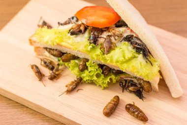 Kızarmış böcek et ve mozzarella peynir sandviç yaptım,