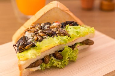Kızarmış böcek et ve mozzarella peynir sandviç yaptım,