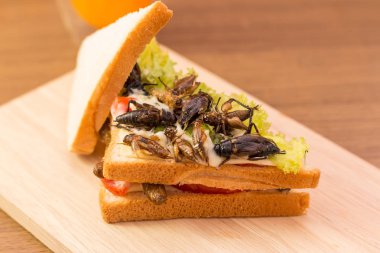 Kızarmış böcek et ve mozzarella peynir sandviç yaptım,