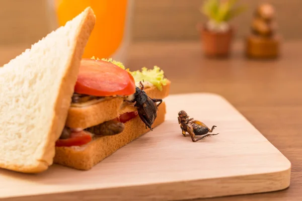 Сэндвич из жареного мяса насекомых и сыра моцарелла , — стоковое фото