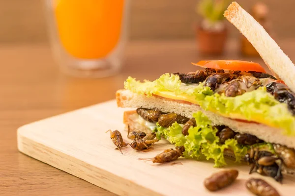 Sandwich gemaakt van gebakken insect vlees en mozzarella kaas, — Stockfoto