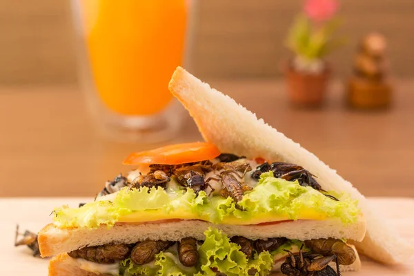 Sanduíche feito de carne de inseto frita e queijo mussarela , — Fotografia de Stock