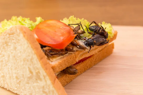 Sanduíche feito de carne de inseto frita e queijo mussarela , — Fotografia de Stock