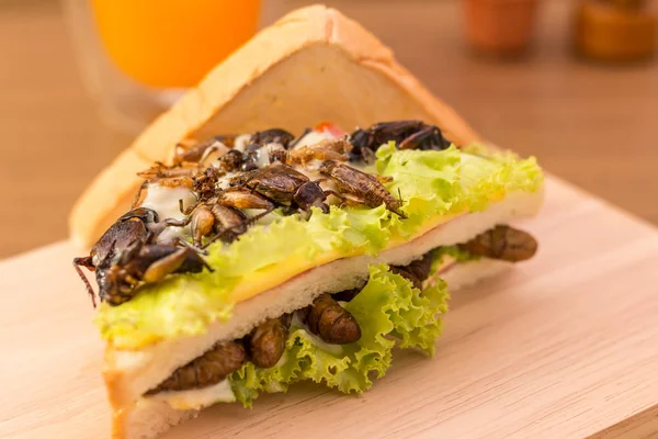 Сэндвич из жареного мяса насекомых и сыра моцарелла , — стоковое фото