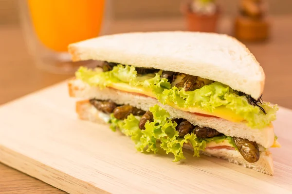 Sanduíche feito de carne de inseto frita e queijo mussarela , — Fotografia de Stock