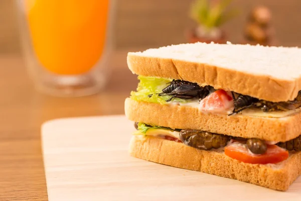 Sandwich a base di carne di insetto fritta e mozzarella , — Foto Stock