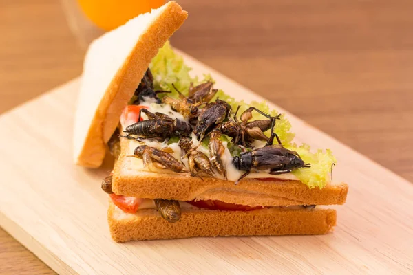 Sandwich gemaakt van gebakken insect vlees en mozzarella kaas, — Stockfoto