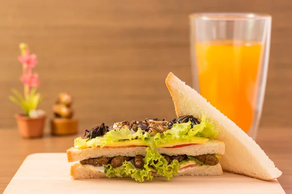Sandwich wykonane z owad mięsa i mozzarelli ser smażony, — Zdjęcie stockowe