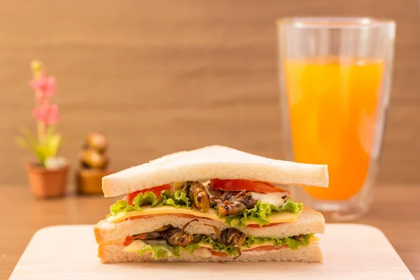 Сендвіч з смаженого м'яса комах та сиру моцарелла , — стокове фото