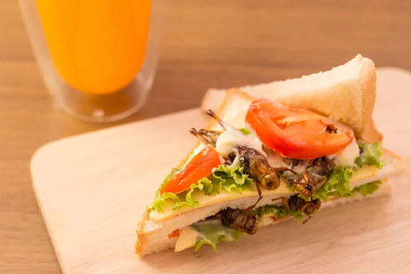 Sandwich gemaakt van gebakken insect vlees en mozzarella kaas, — Stockfoto