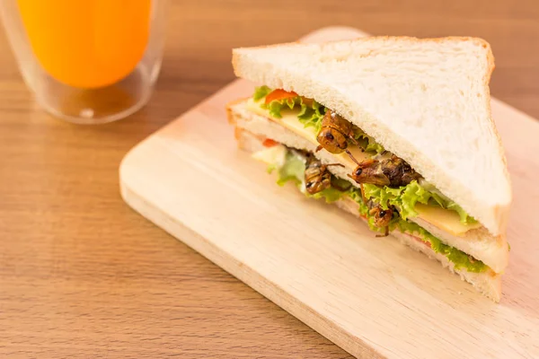 Sandwich gjord av stekt insekt kött och mozzarella ost, — Stockfoto